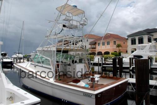 Topaz 37 opinión y ficha técnica